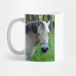 Horse Mug